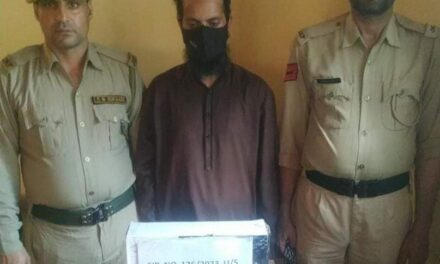 Man held with 380 fake gold biscuits in Baramulla: Police