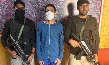 Youth injured after being stabbed in Srinagar;Accused held: Police