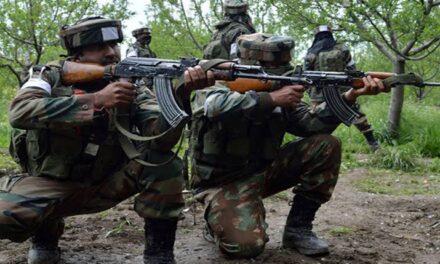 One Local Militant Killed in Nocturnal Gunfight in Kulgam: Police