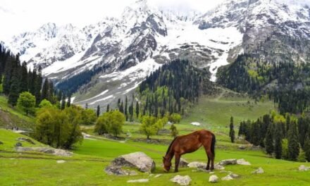 Pahalgam witnesses 25 percentage increase in tourism flow this year: DC Anantnag