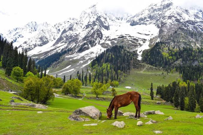 Pahalgam witnesses 25 percentage increase in tourism flow this year: DC Anantnag