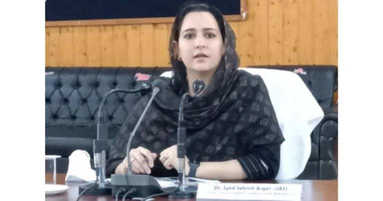 No Picnic , Excursion, Without Permission: DC Bla