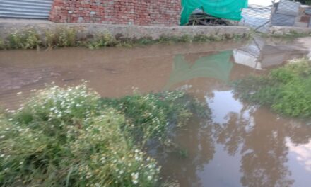 Residents of Chinpazpora Village in Bandipora Express Concern as Water Starts Inundating Residential Areas