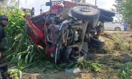 Traffic Cop Among 3 Persons Killed As Multiple Vehicles Crash in Srinagar Locality