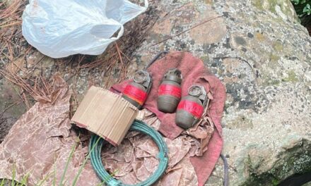 Security Forces Bust Militant Hideout In Poonch, One Detained