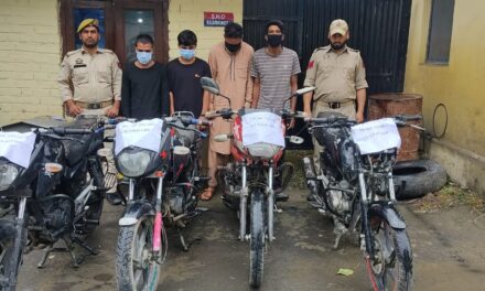 Gang of burglars, bike lifters busted in North Kashmir: Police