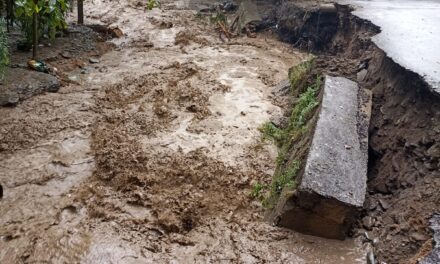 Flashfloods Cause Widespread Damage in Kupwara Parts; Haihama Worst Hit, DC Kupwara Visits to Assess Ground Situation