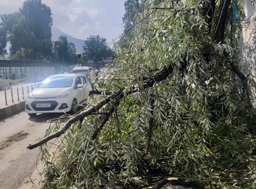 Srinagar’s Batwara reeling under darkness since last night, allege residents