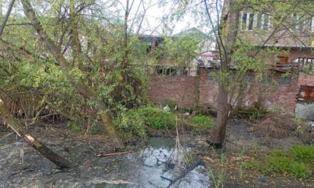 In Umar Colony Lal Bazar, filthy water amid ‘official apathy’ leaves residents fuming