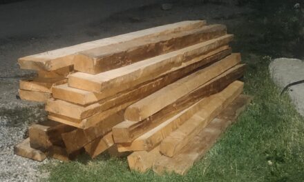 Police seizes illicit timber in Handwara, accused arrested