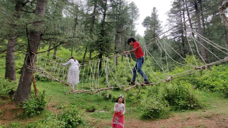 Record 2.18 lakh people visit parks, gardens on Eid; 1.20 lakh in Srinagar;South Kashmir witnesses a footfall of over 94,000 visitors in four days