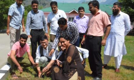 DIPR organises plantation drive under ‘Meri Mitti Mera Desh’ campaign