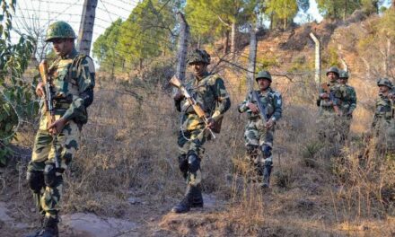 Smart Fences Set Up Along LoC To Thwart Infiltration Attempts
