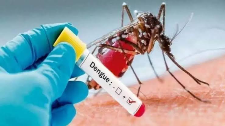 53 dengue cases reported in J&K so far this year: Official