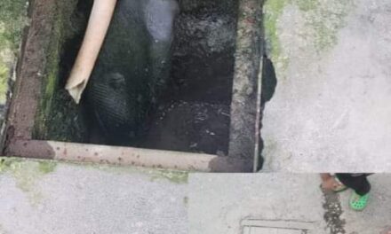 Manhole covers stolen in Srinagar’s Habba Kadal