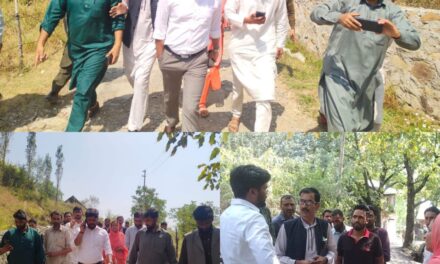 DC Ganderbal inspects developmental activities, availability of basic facilities at Anderwan area