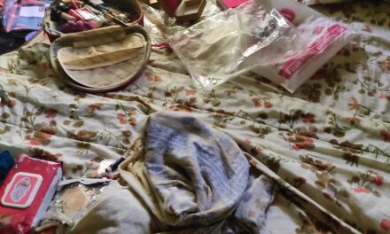 Gold Ornaments Worth 15 Lacs Stolen During Overnight Robbery Incident In Ajas B’pora