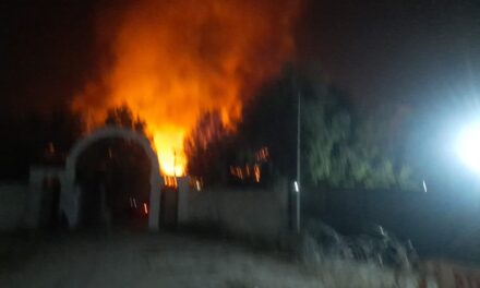 20 sheds gutted in Srinagar Parimpora fire mishap