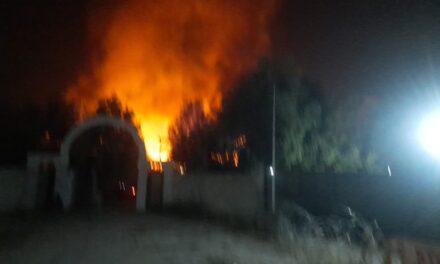 20 sheds gutted in Srinagar Parimpora fire mishap