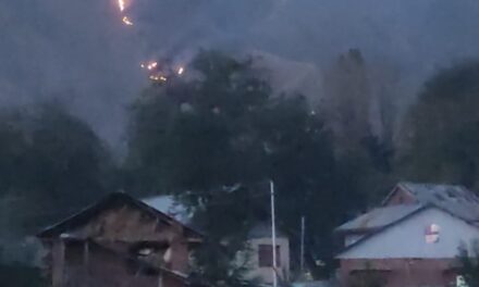 Fire Breaks Out in Tral Forest Area