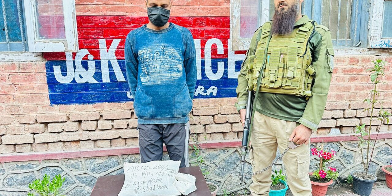 Drug peddler arrested in Shadipora,FIR registered: Police