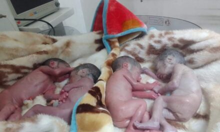 Tragic: Three of the Quadruplets Die, One Referred to Srinagar for Treatment after Kupwara Woman Gives Birth