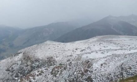 Kashmir Receives Rainfall, Gulmarg and Higher Reaches Witness Snowfall