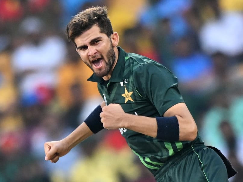 Shaheen Afridi claims top spot in ICC ODI bowlers rankings, Babar’s lead at top squeezes to two points
