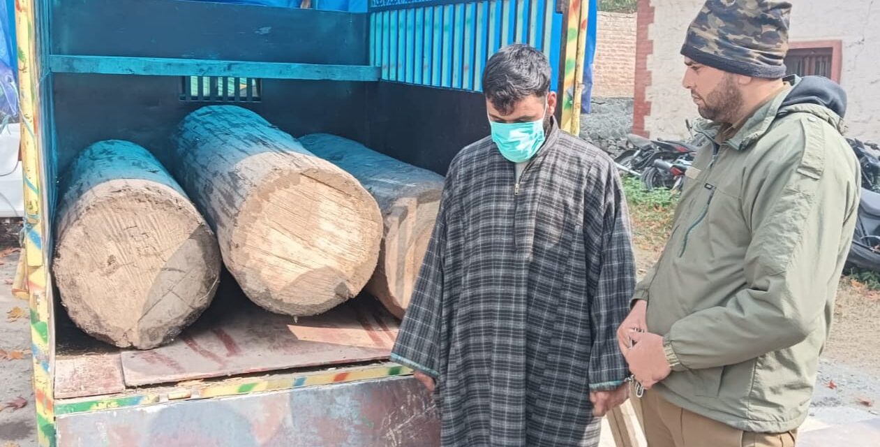 Man held with illicit timber along with Vehicle in Central Kashmir’s Ganderbal: Police