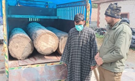 Man held with illicit timber along with Vehicle in Central Kashmir’s Ganderbal: Police
