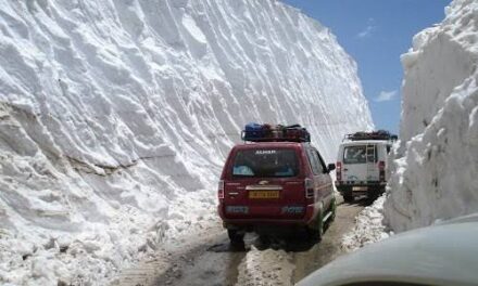 Vehicular movement restored on Mughal road after snow clearance