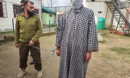 Sopore murder case: Wife killed husband with active support of her lover, says Police