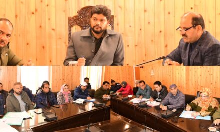DC Ganderbal chairs Road Safety Committee meeting