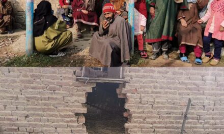 Burglars steal over 30 sheep in South Kashmir