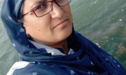 NIT Srinagar faculty member bags prestigious mega project from SERB-DST