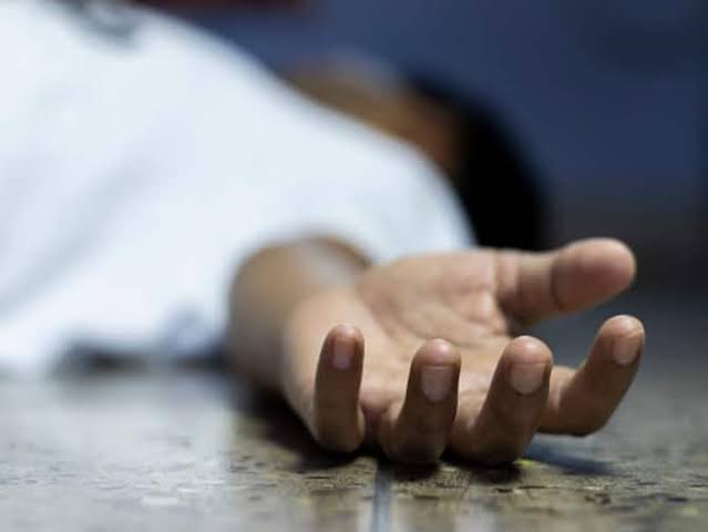 Labourer dies after falling from house in Shopian