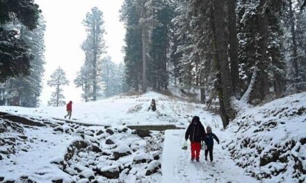 ‘Chillai-Kalan’ begins on harsh note in Kashmir, minus 4.3°C in Srinagar