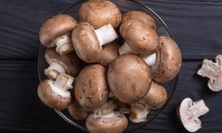 Udhampur farmers yield over 3,000 quintals of mushrooms, earn Rs 6 cr in revenue