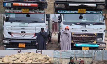 Illegal extraction and transportation of minerals;Police arrests 22 persons, seizes 24 vehicles in Kulgam