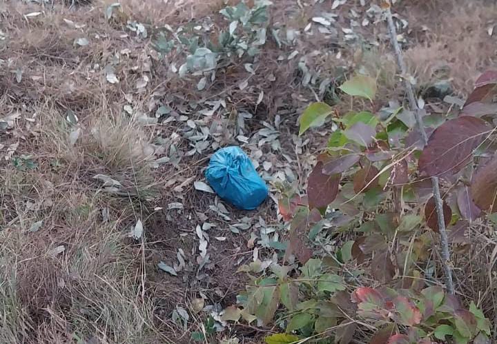 Security forces recover wireless, 23 bullets in Rajouri