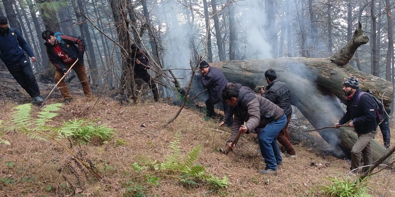 Dry spell triggers massive forest fire in Kulgam;2 forest employees injured during fire-fighting operation
