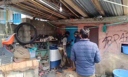 6 injured after being attacked by wild boar in Kulgam