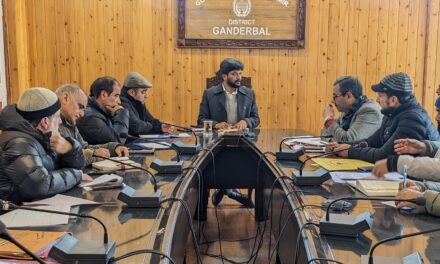 DLC approves 7 cases for Change of Land Use at Ganderbal;DC urges for issuing necessary NOCs timely