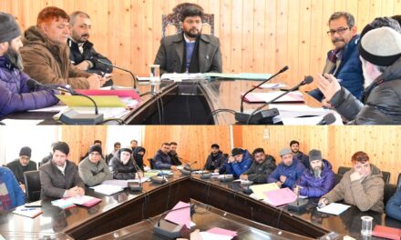 DC Ganderbal chairs DLIC meeting of HADP