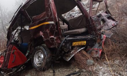 7 dead, 8 injured after vehicle plunges into gorge in Uri