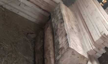 Police seizes illicit timber worth lacs in Budgam