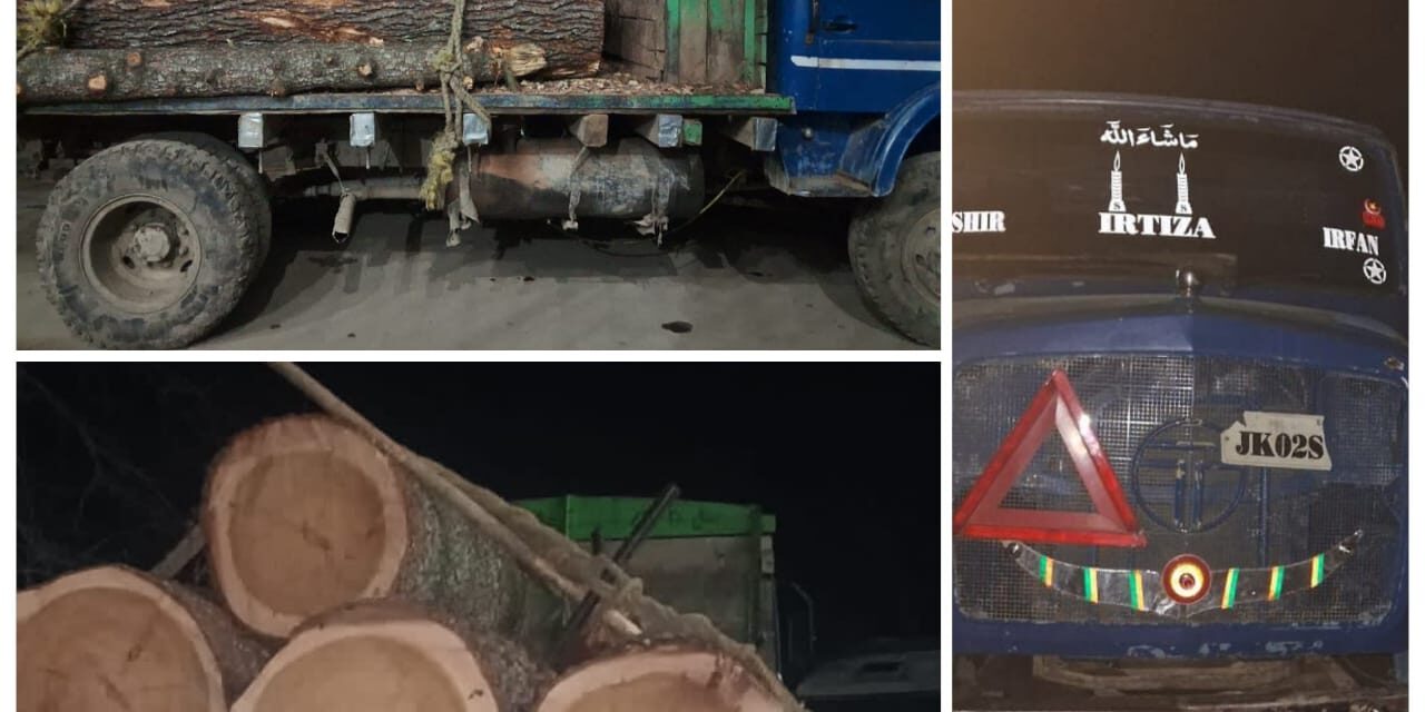 Police seizes illicit timber in Handwara, one smuggler held