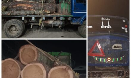 Police seizes illicit timber in Handwara, one smuggler held
