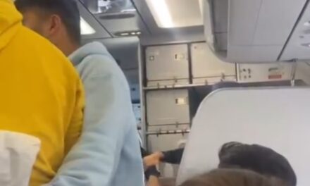 Passenger assaults IndiGo pilot over flight delay, FIR lodged