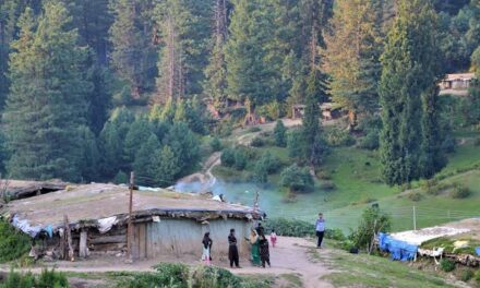 Authorities ban entry in Forests, Wildlife Protected Areas in Kashmir amid dry spell